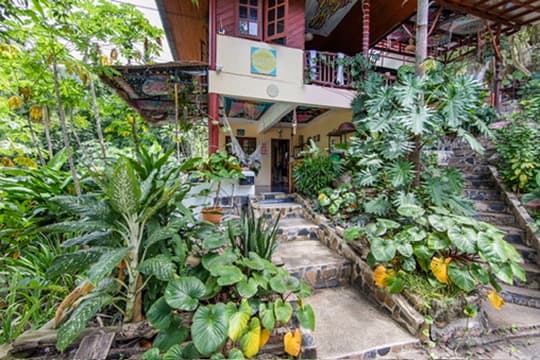 Slow Down Homestay photo 8