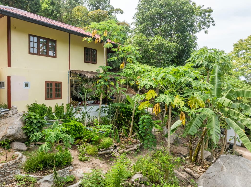 Slow Down Homestay photo 39