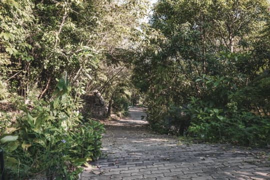 Slow Down Homestay photo 66