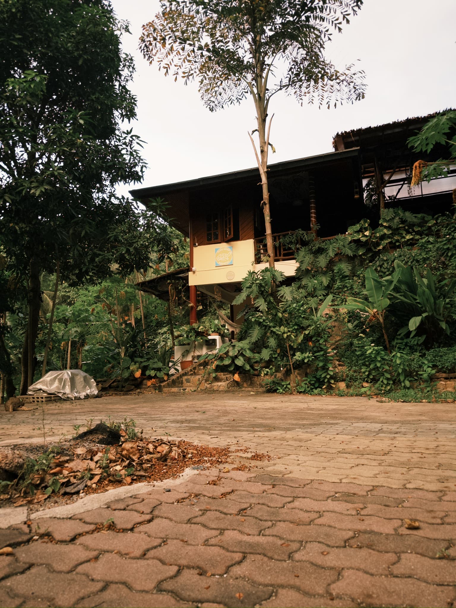 Slow Down Homestay photo 68