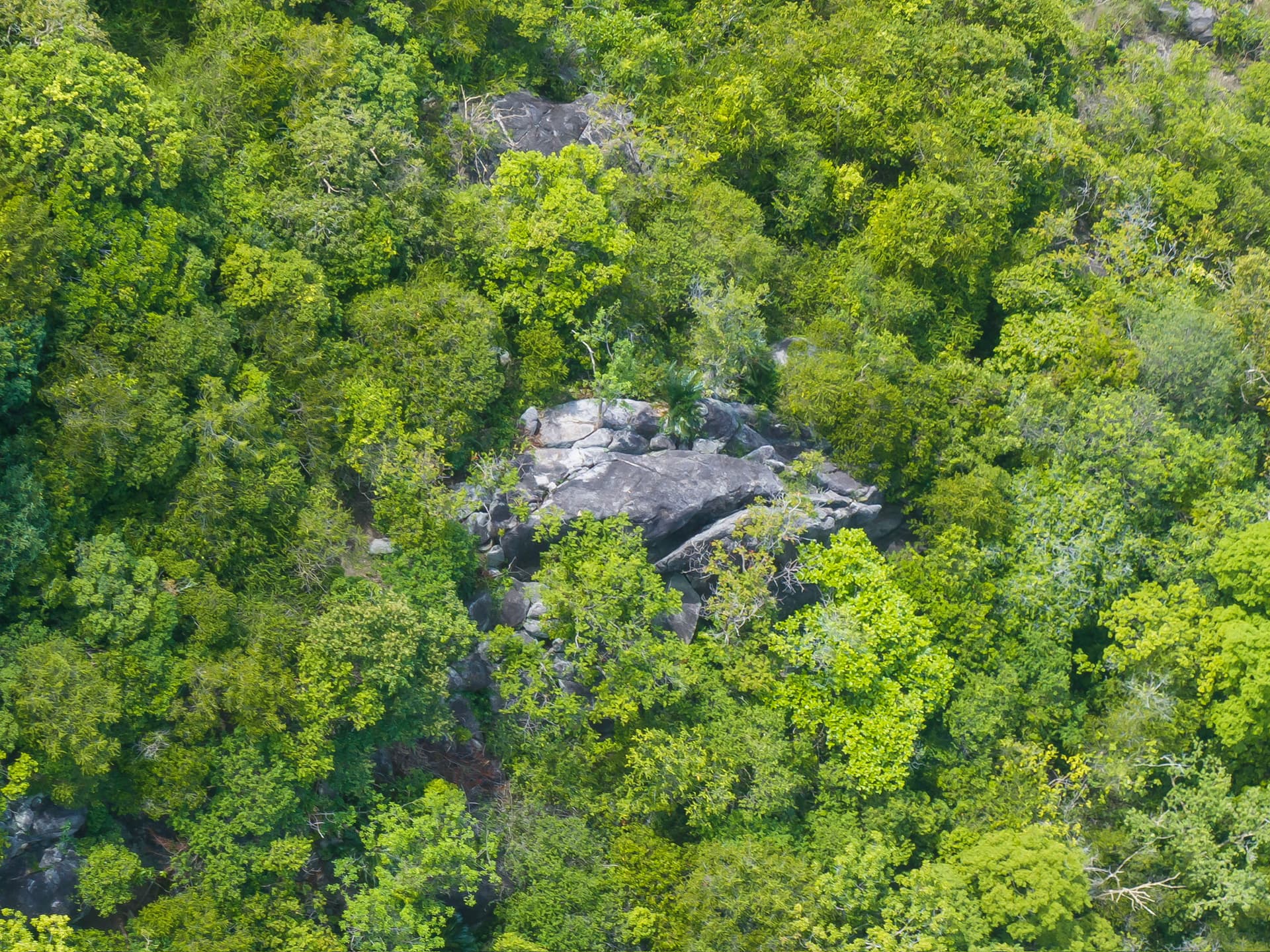 Slow Down Homestay photo 72