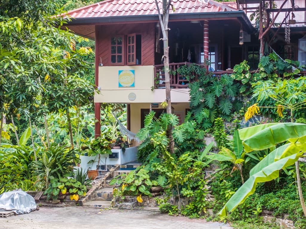 Slow Down Homestay photo 74